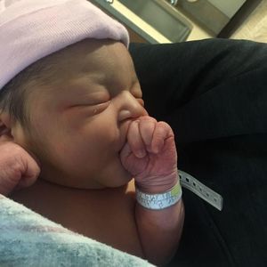 Meet your Posher, Rosa